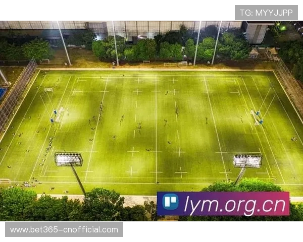 365日博足球官网多元赛事直播，实时观看与互动投注享受极致体验